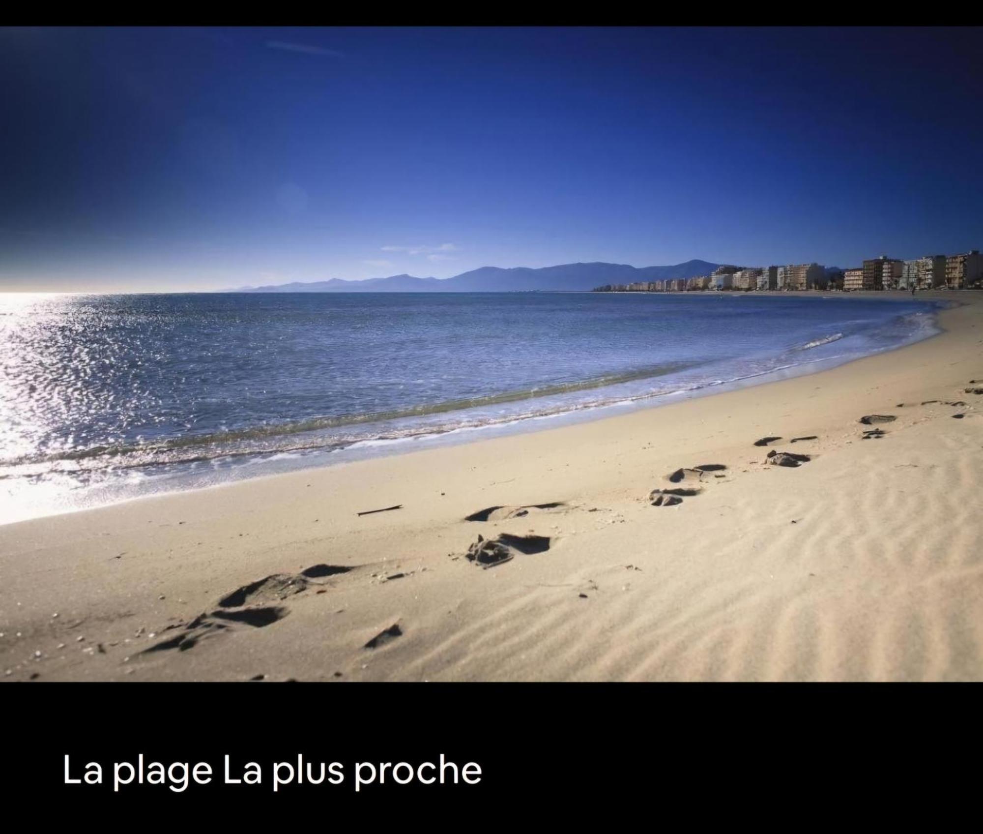 Appartement Cosy Le Phoebus Canet-en-Roussillon Esterno foto